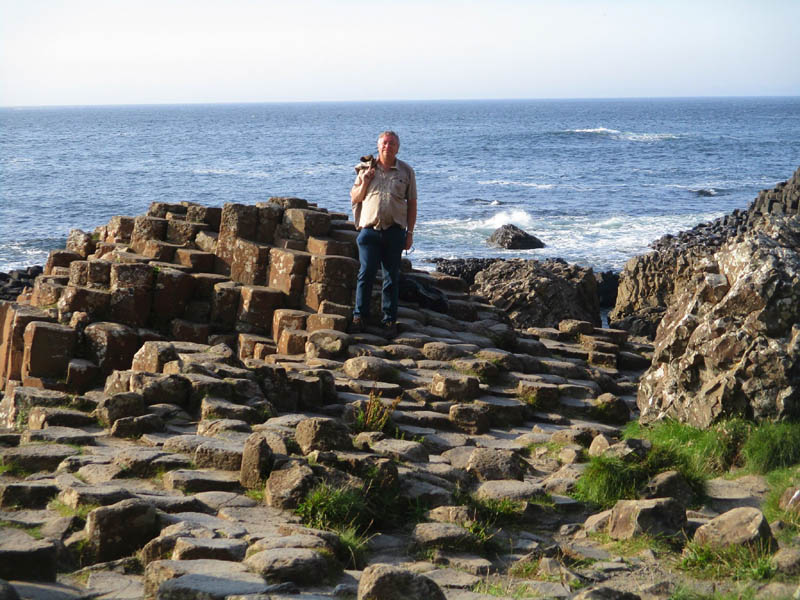 Basaltsäulen Giants Causeway