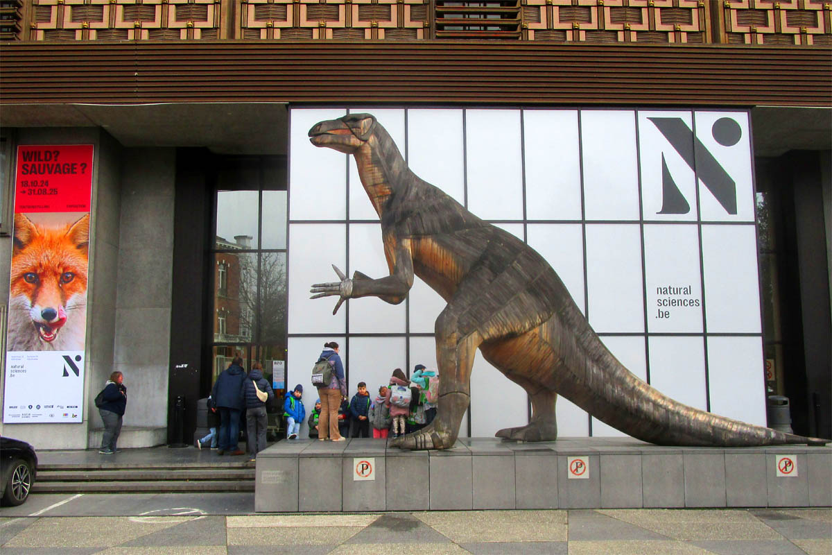 Museum Naturwissenschaften Brüssel