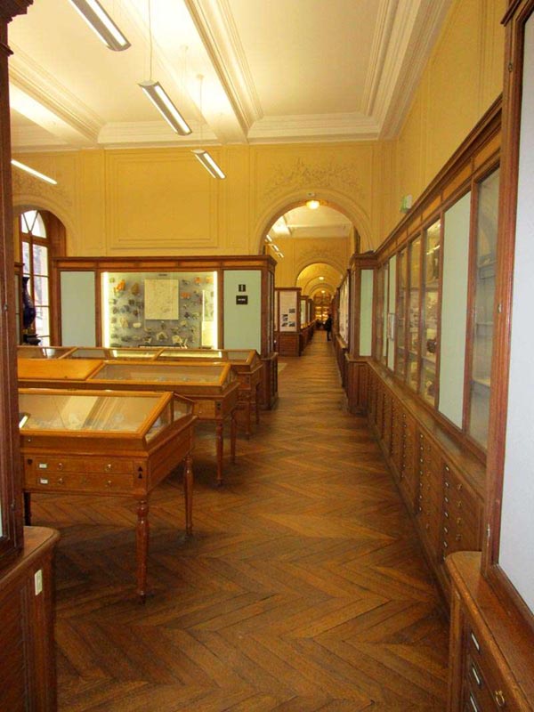 Collection of the Ecole de Mines / Mines ParisTech