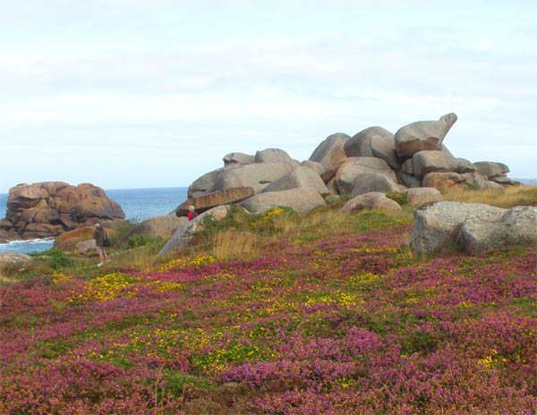 Granite exfoliation Ploumanach Brittany