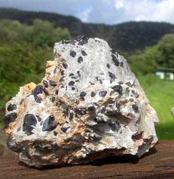 Black obsidian in light rhyolite