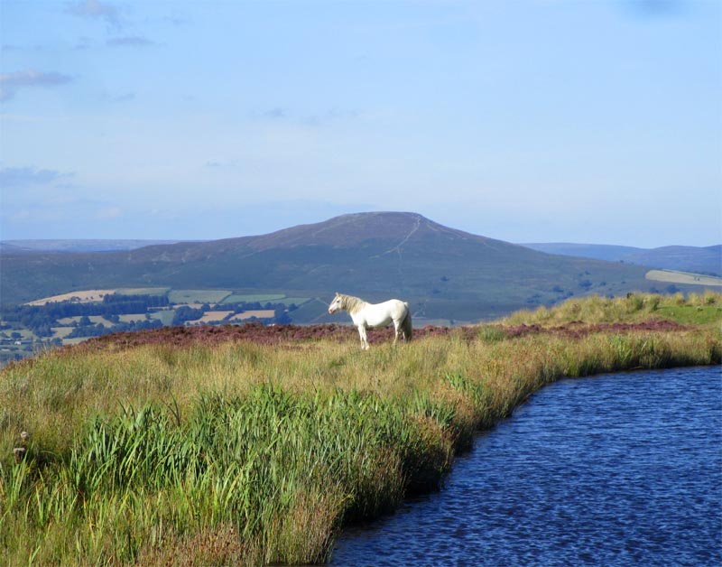 Landscape near Blaenavon