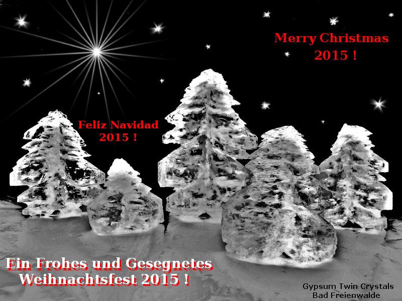 Gypsum Christmas Tree 2015